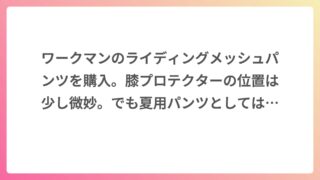 ワークマンのライディングメッシュパンツを購入。膝プロテクターの位置は少し微妙。でも夏用パンツとしては満足でした